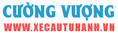 CÔNG TY TNHH CƯỜNG VƯỢNG